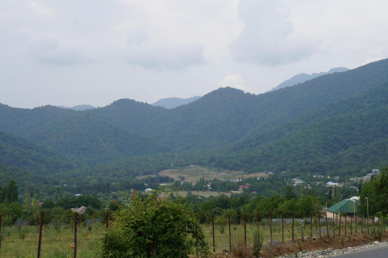 Woodland Paradise Gabala Exterior foto