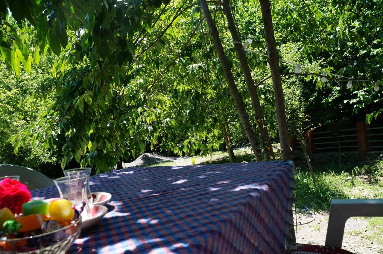 Woodland Paradise Gabala Exterior foto