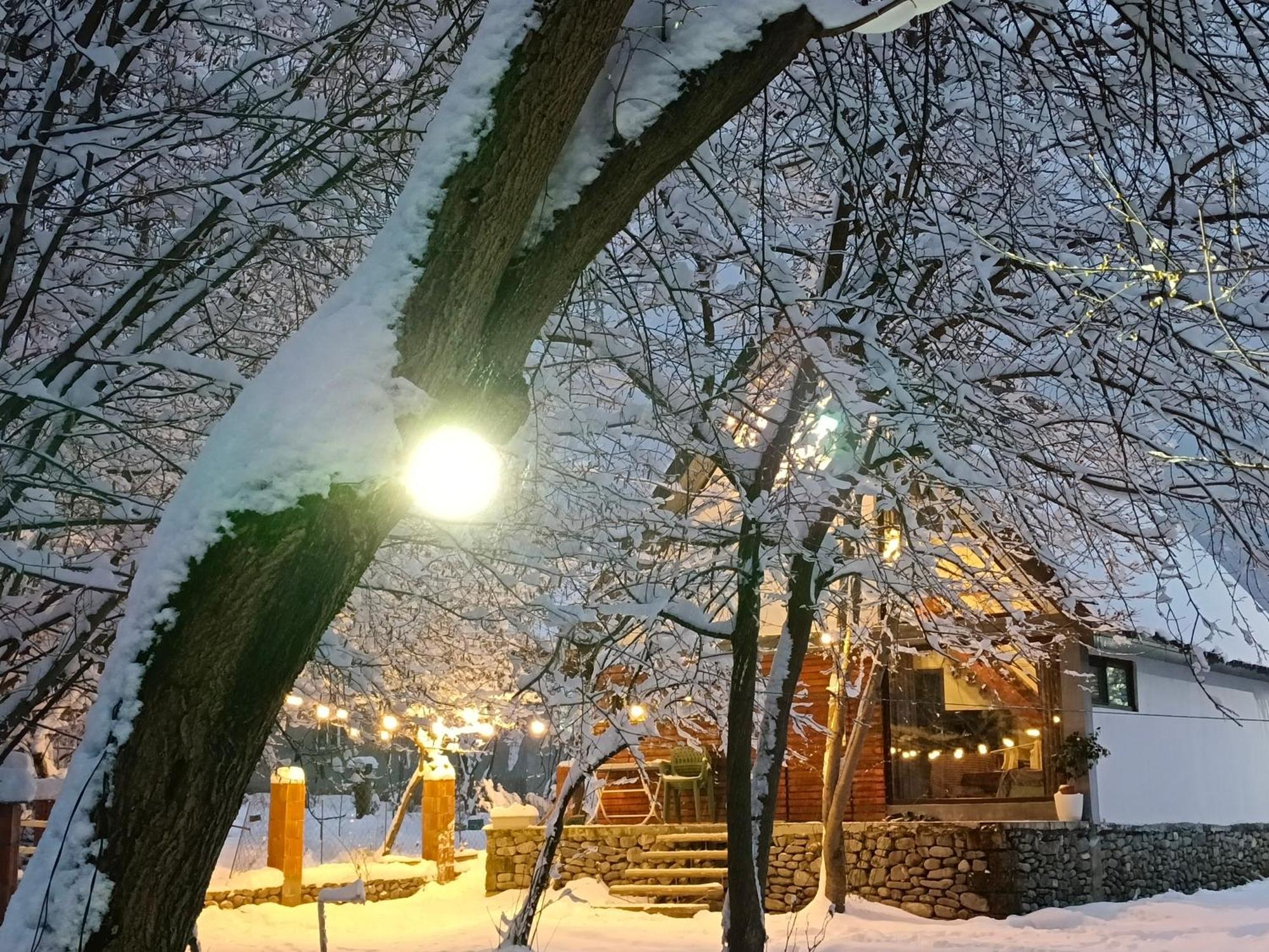 Woodland Paradise Gabala Exterior foto