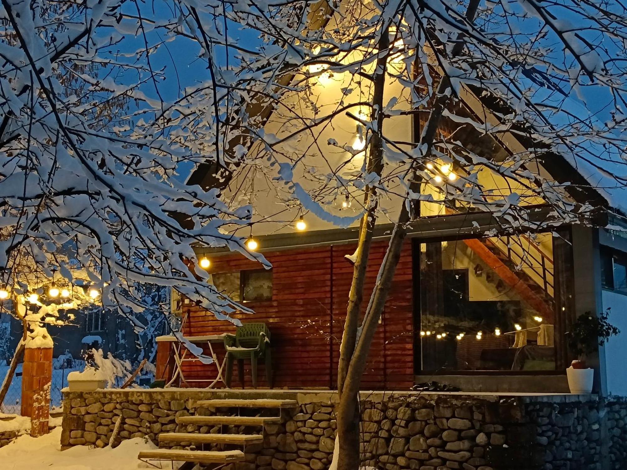 Woodland Paradise Gabala Exterior foto